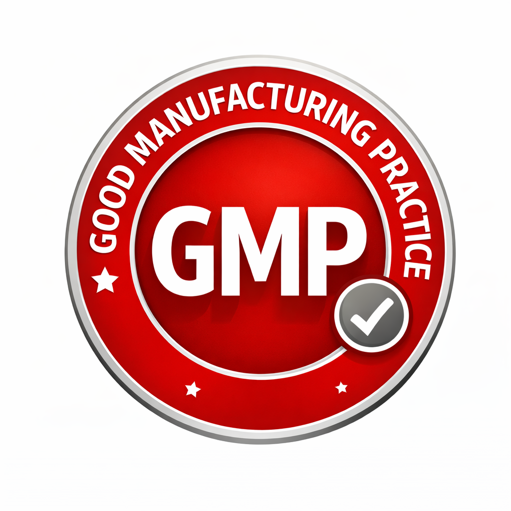 chatgpt image dec 16, 2025, 04 31 26 pm